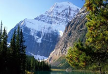 克罗地亚vs巴西的比赛有哪些精彩回放瞬间？